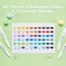 Ohuhu Alcohol Markers: Mini Brush & Slim Broad 60 Illustration/Landscape Colors Dual Tip Brush Tip Alcohol-based Art Marker for Artists Adults Coloring Illustration- Refillable - Kaala B Series of Ohuhu Markers